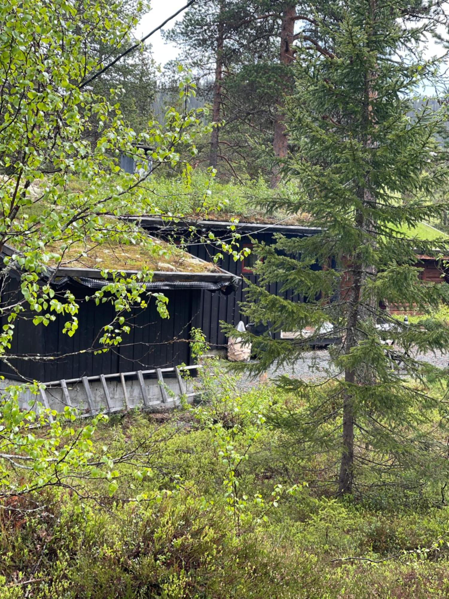 Hytta Pa Oyfjell Villa Eksteriør bilde