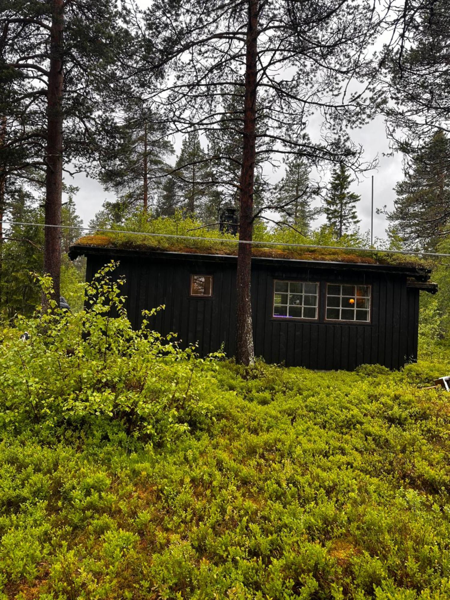 Hytta Pa Oyfjell Villa Eksteriør bilde