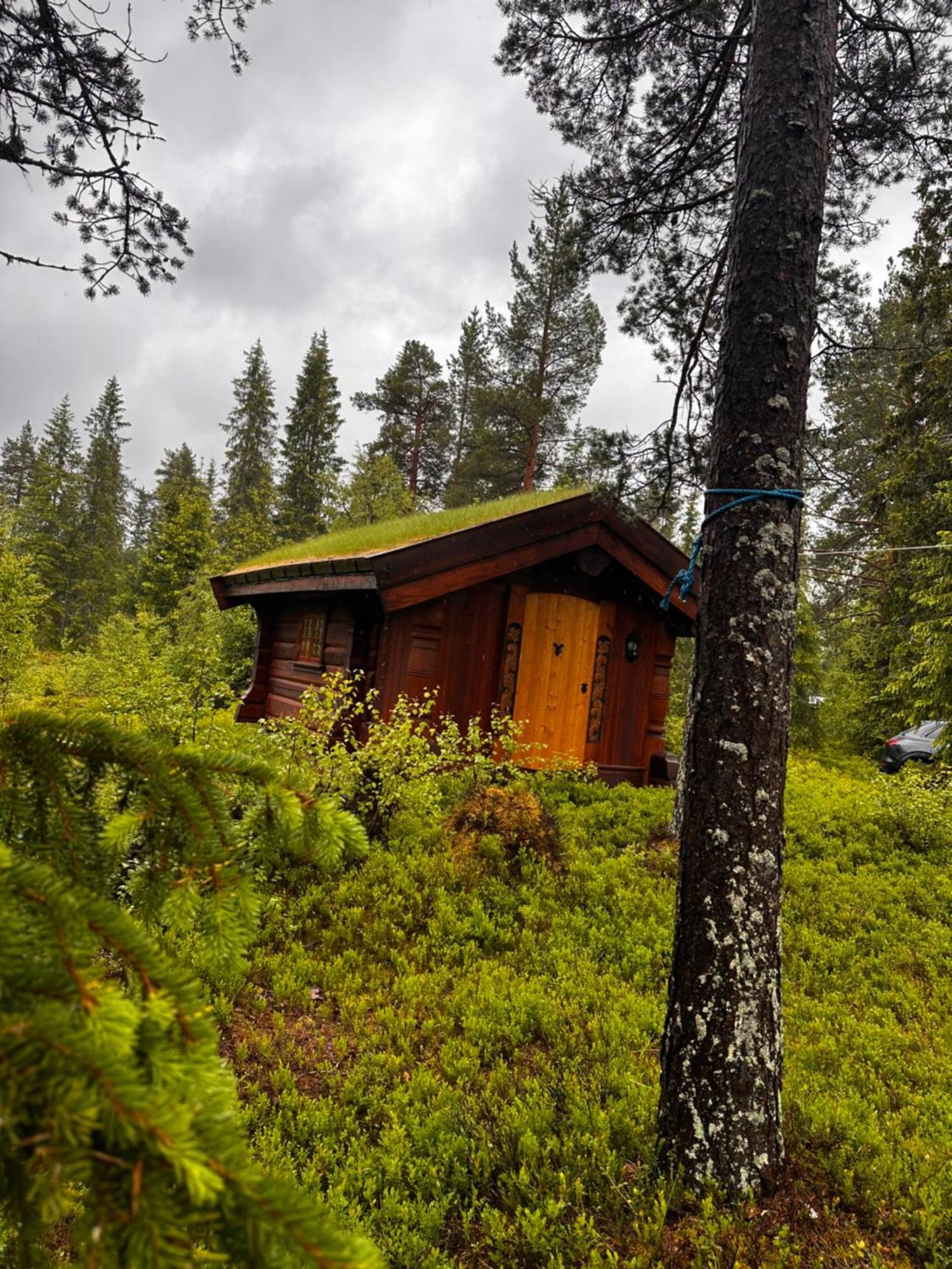 Hytta Pa Oyfjell Villa Eksteriør bilde