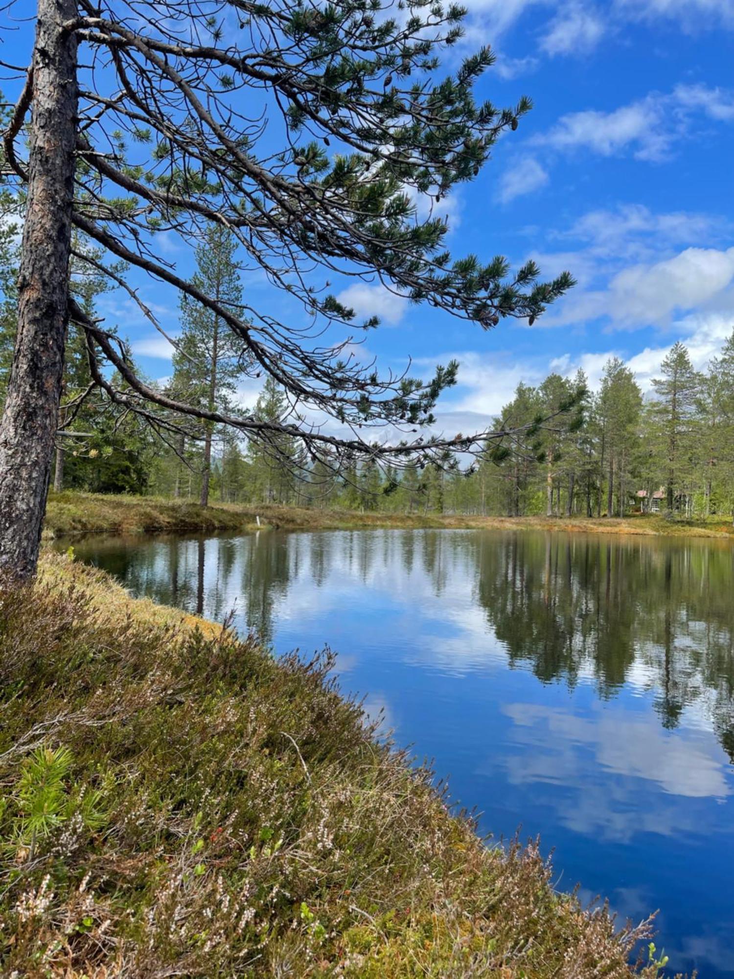 Hytta Pa Oyfjell Villa Eksteriør bilde
